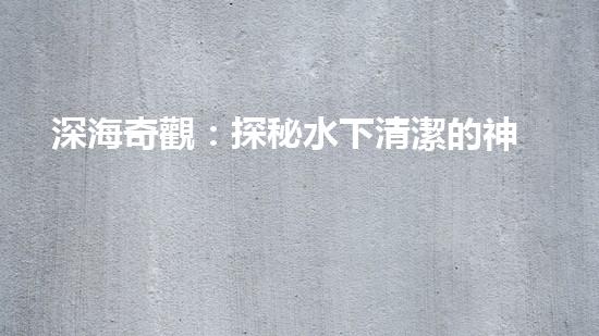 深海奇觀：探秘水下清潔的神秘世界！